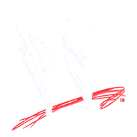 WWE Render